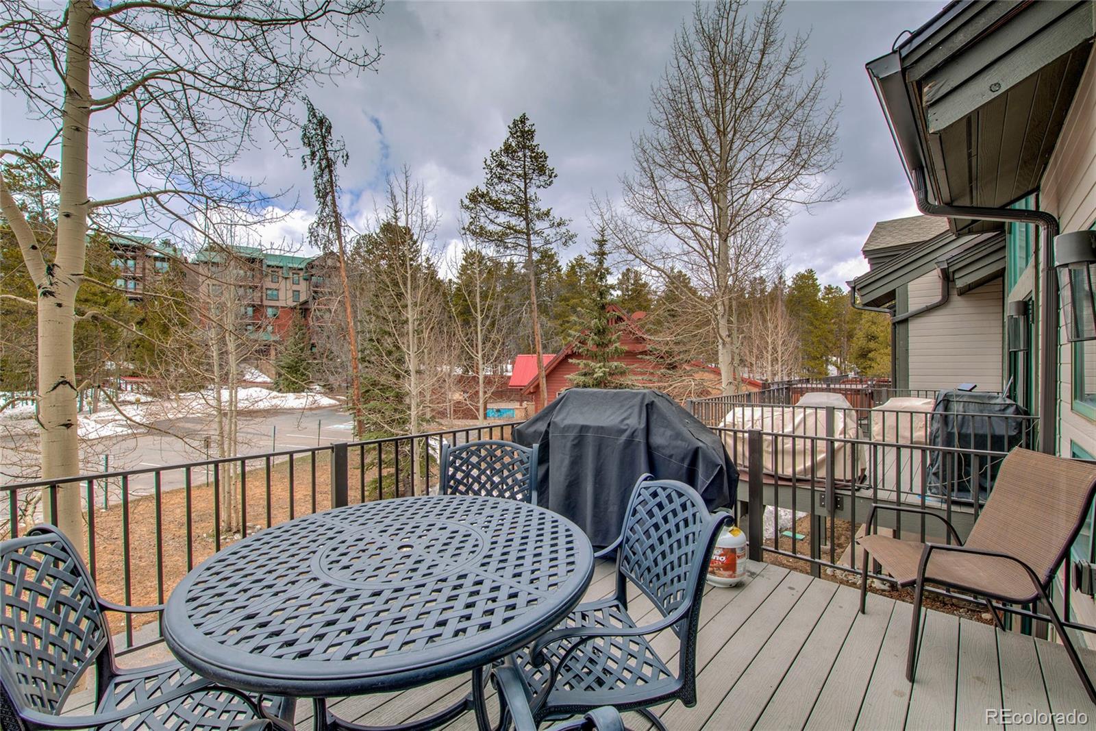 MLS Image #28 for 315 s park avenue,breckenridge, Colorado