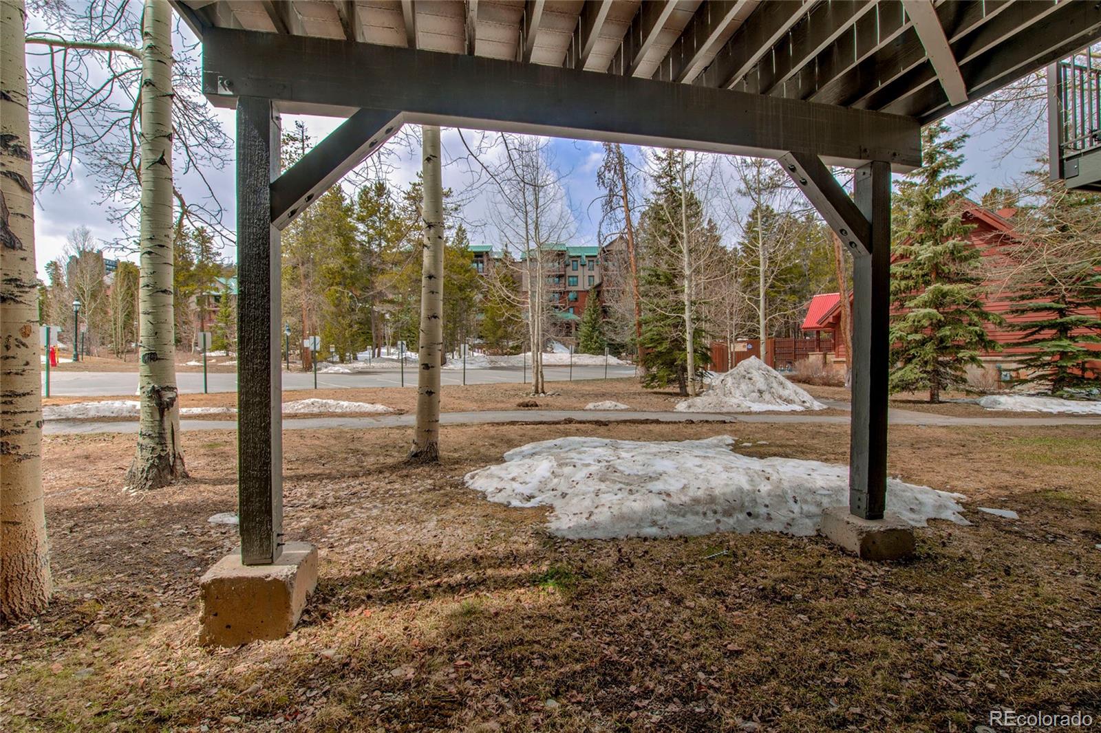 MLS Image #33 for 315 s park avenue,breckenridge, Colorado