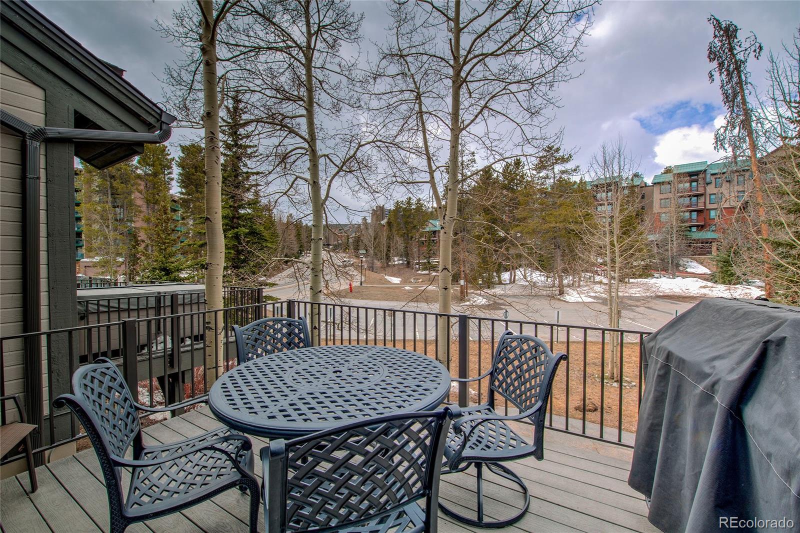 MLS Image #35 for 315 s park avenue,breckenridge, Colorado