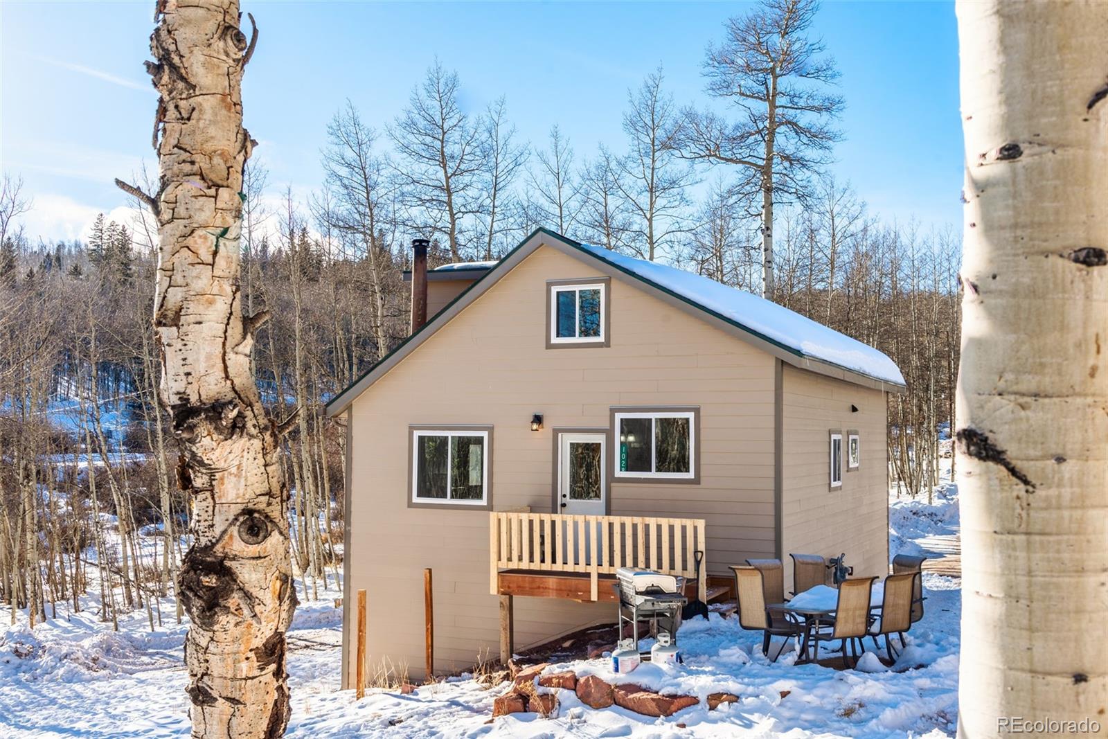 MLS Image #0 for 1028  little baldy drive,fairplay, Colorado