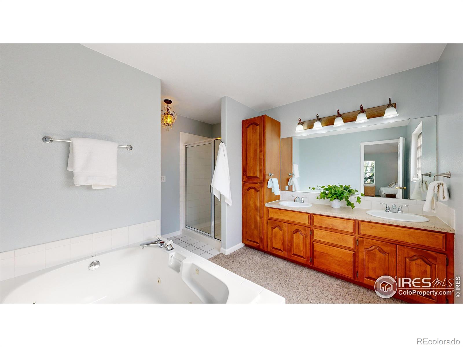 MLS Image #13 for 1425  canal drive,windsor, Colorado