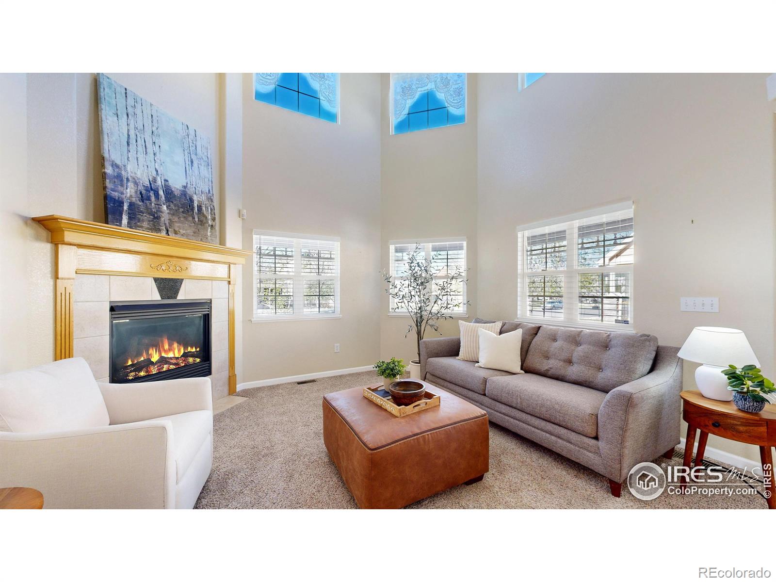MLS Image #3 for 1425  canal drive,windsor, Colorado