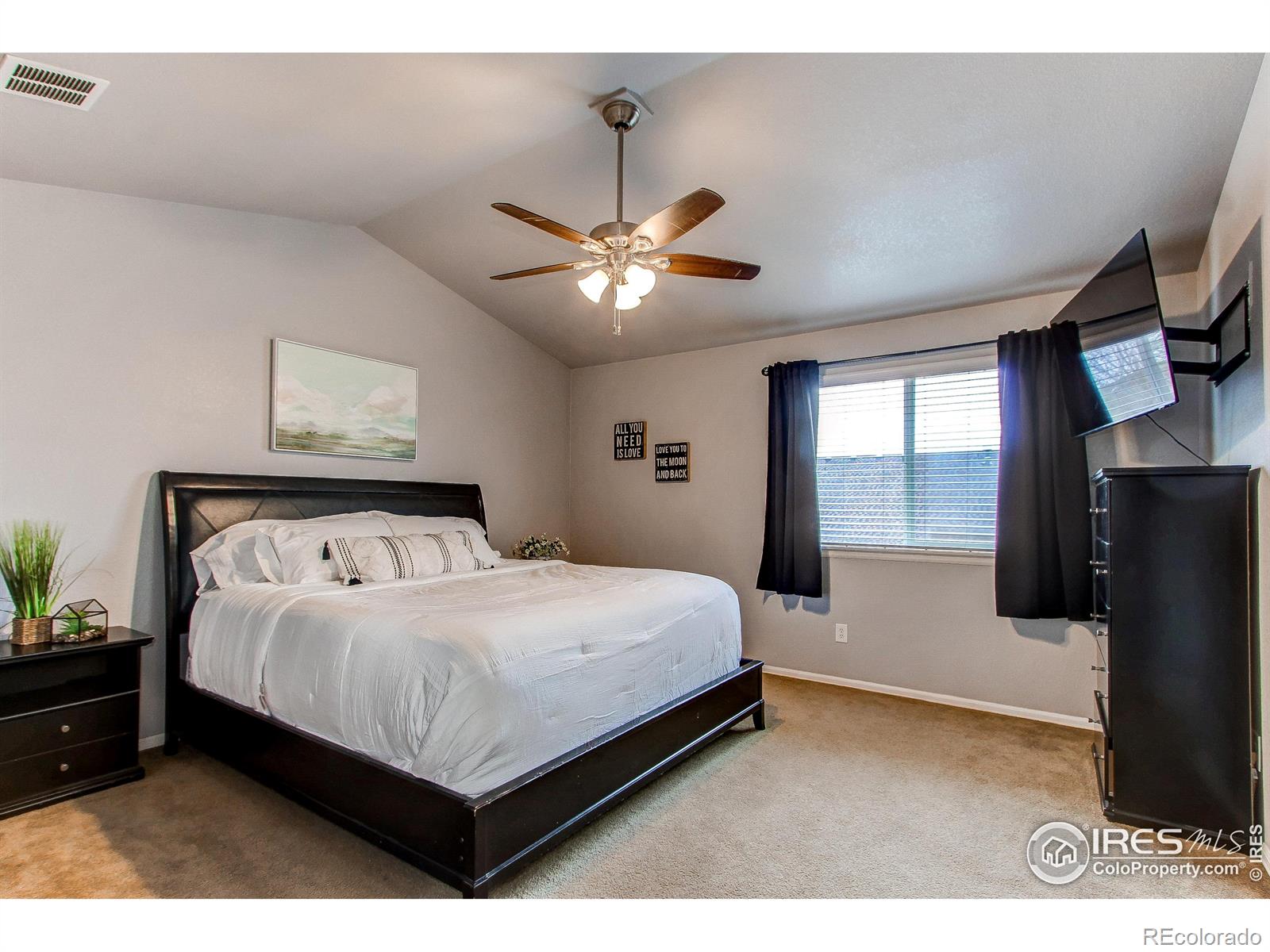 MLS Image #15 for 568  botley court,windsor, Colorado