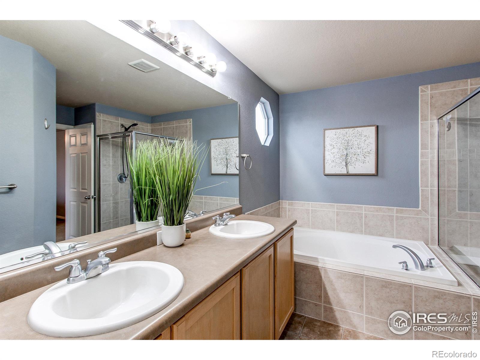 MLS Image #18 for 568  botley court,windsor, Colorado