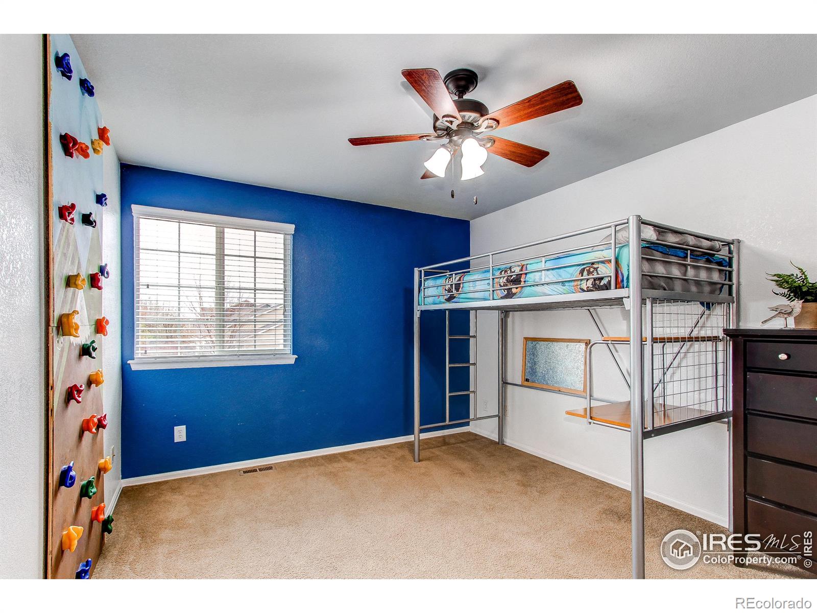 MLS Image #25 for 568  botley court,windsor, Colorado