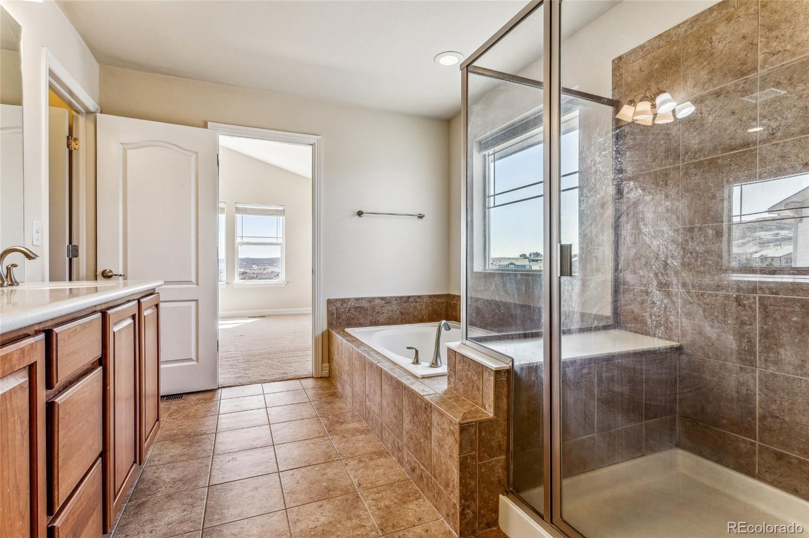 MLS Image #14 for 2851  red hawk ridge drive,castle rock, Colorado