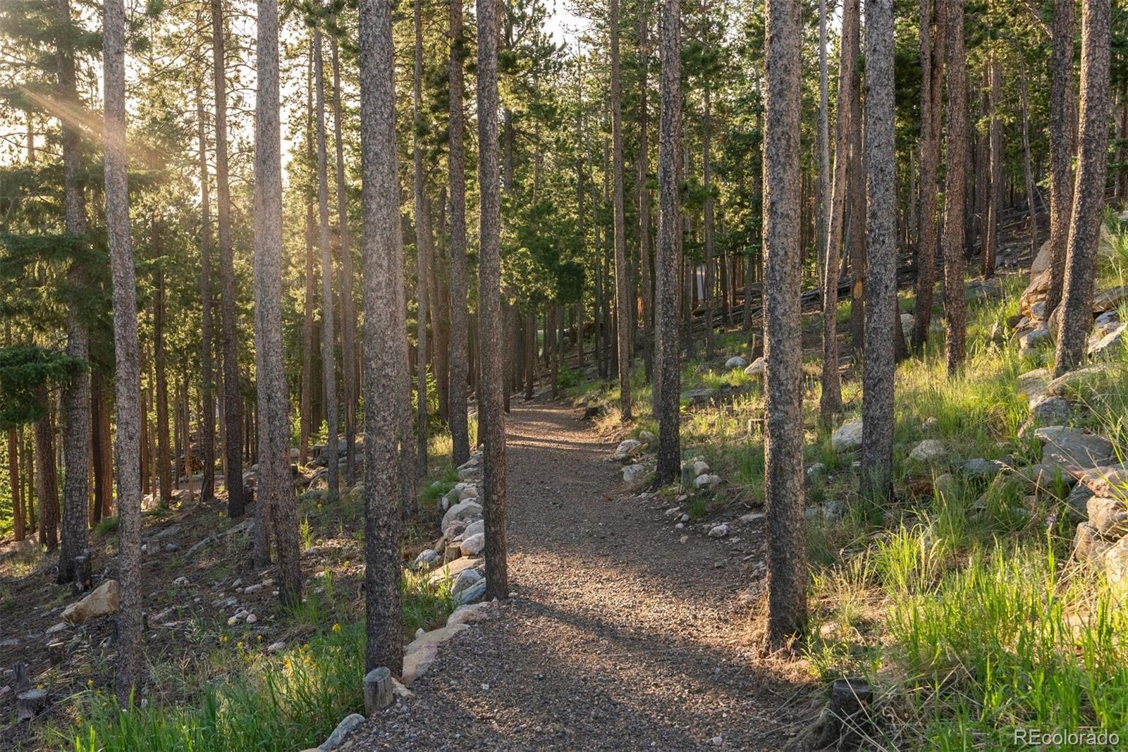 MLS Image #39 for 34650  sleeping fox trail,evergreen, Colorado