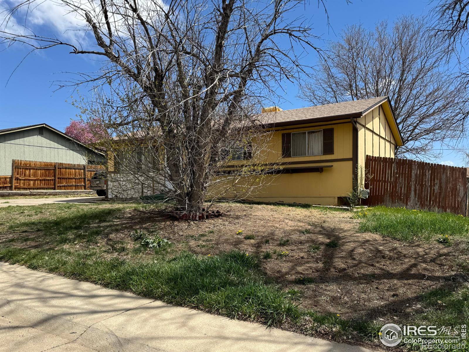 MLS Image #1 for 620  erie street,denver, Colorado