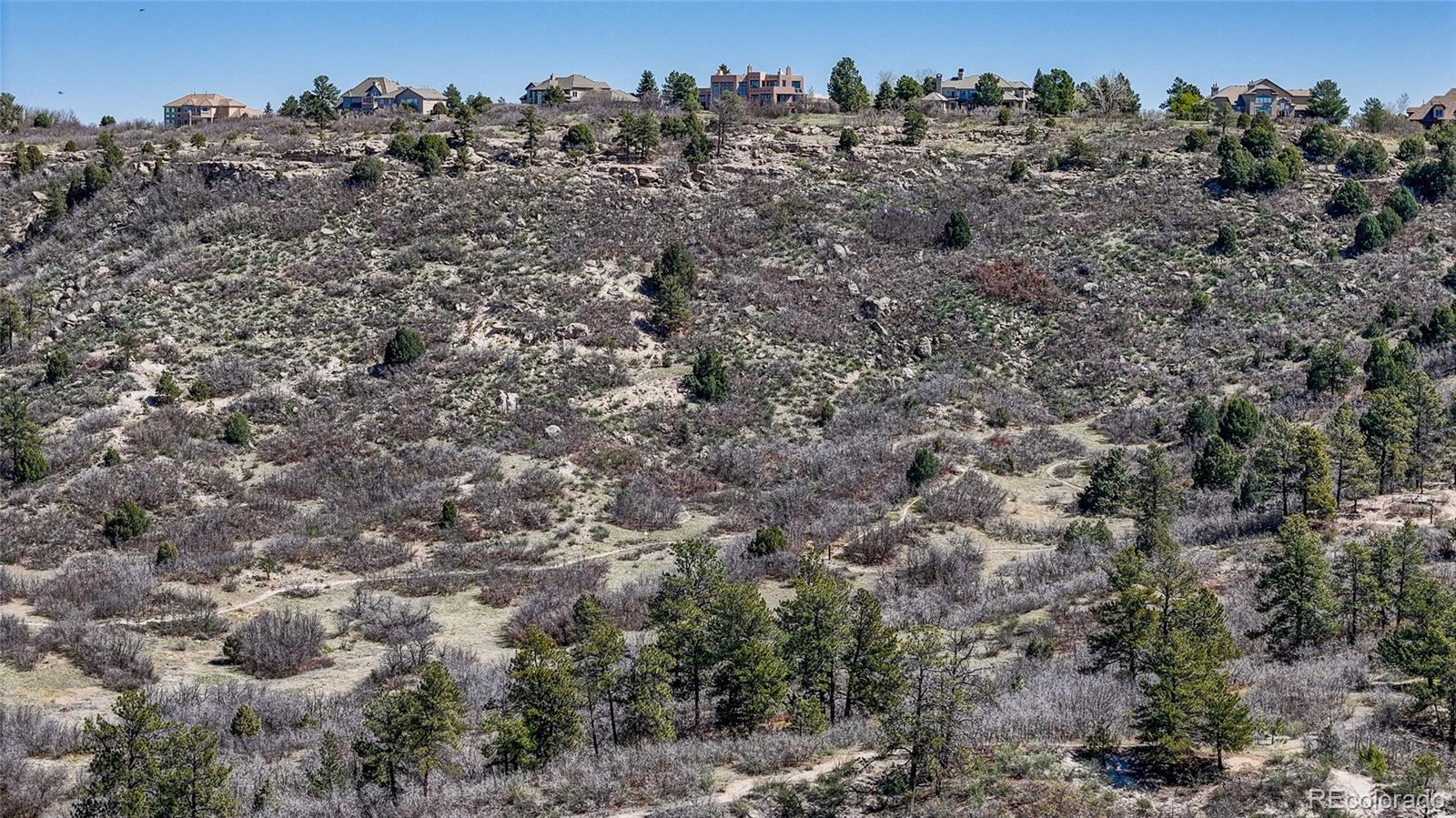 MLS Image #25 for 4774  drowsy water road,castle rock, Colorado