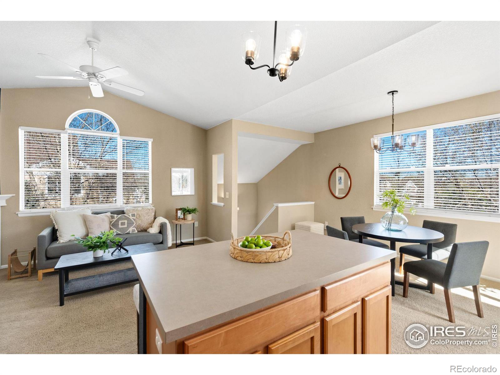 MLS Image #9 for 2123  grays peak drive,loveland, Colorado