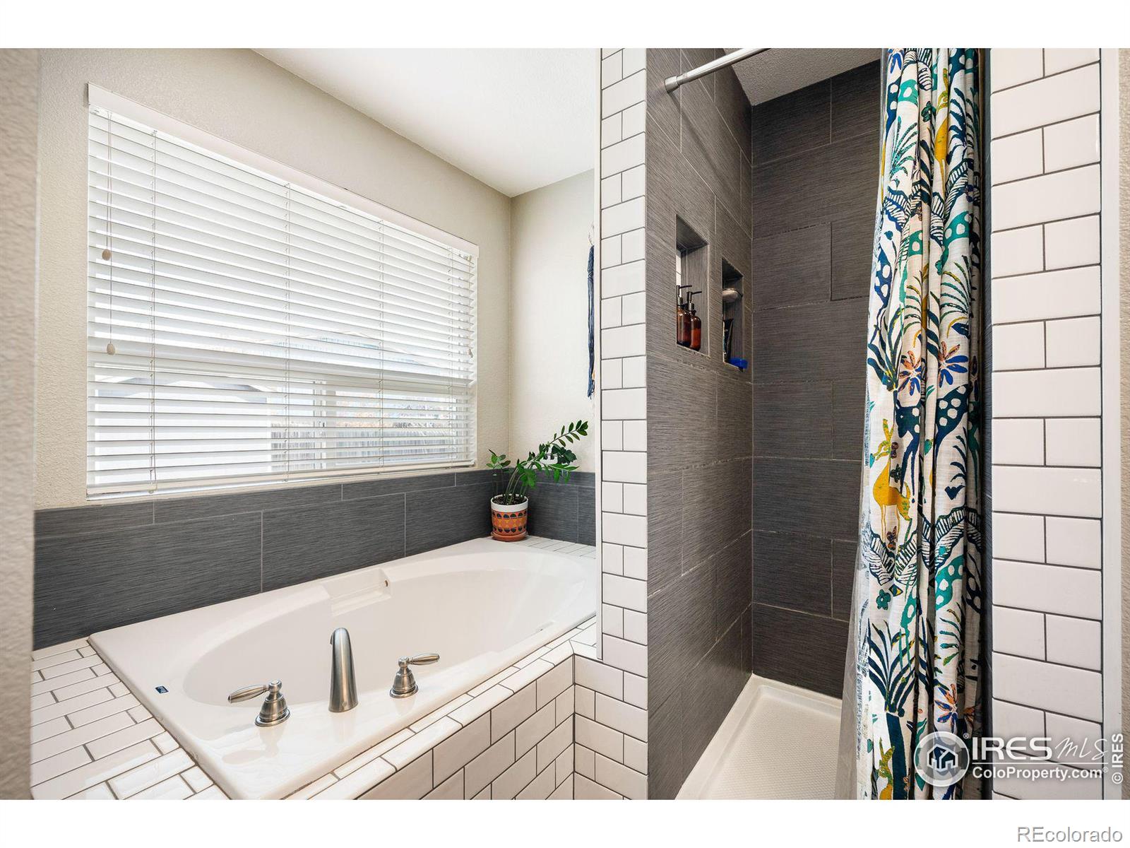 MLS Image #17 for 1119  sandra drive,johnstown, Colorado
