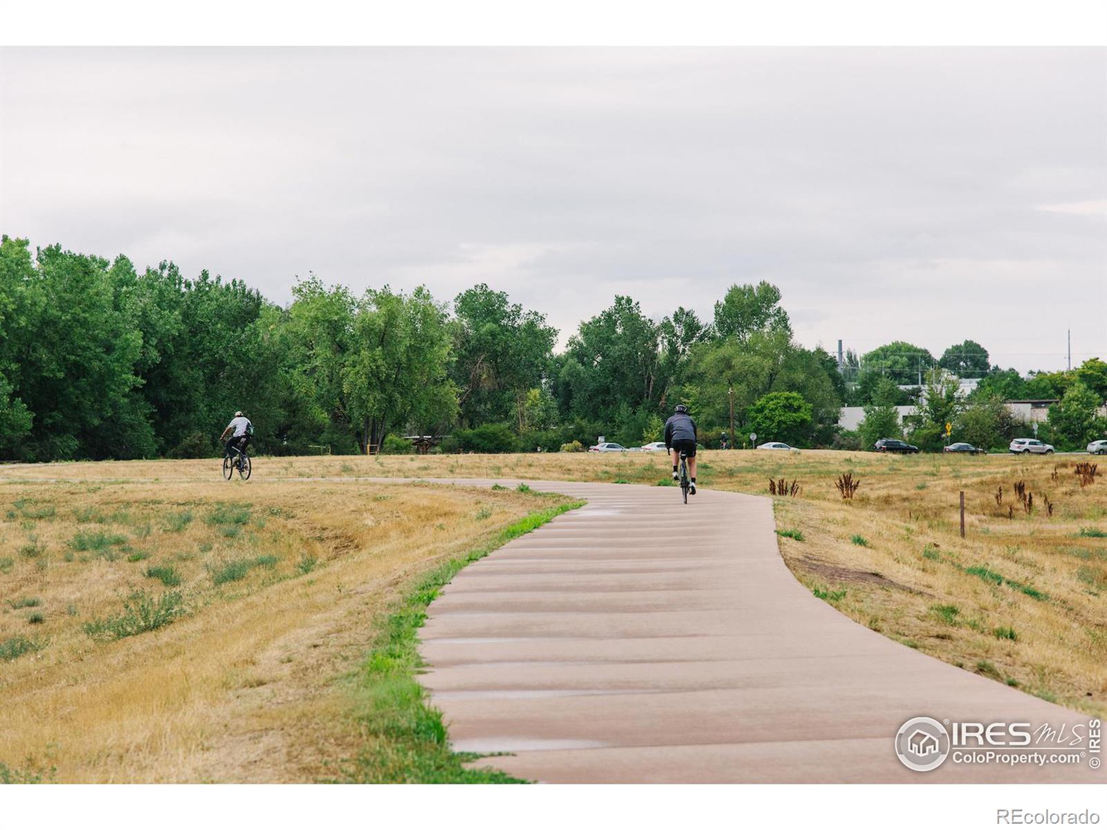 MLS Image #28 for 415 e pitkin street,fort collins, Colorado