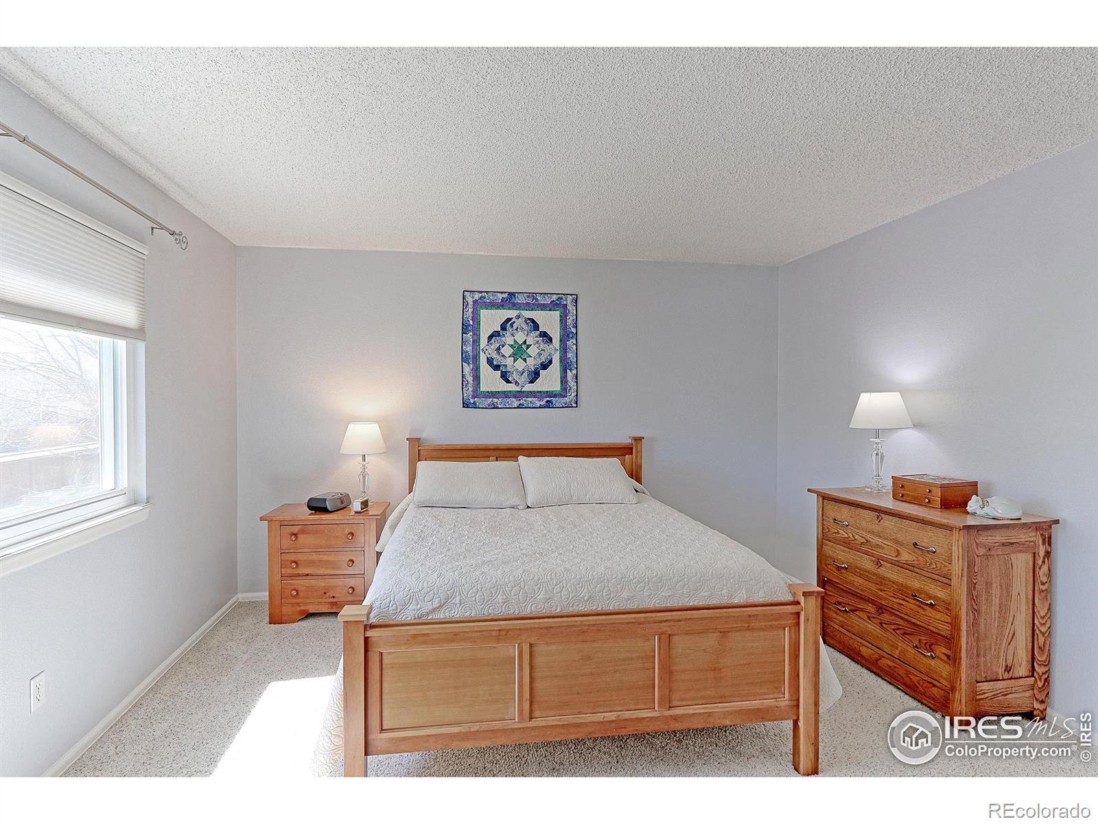 MLS Image #20 for 1423  morningside drive,longmont, Colorado