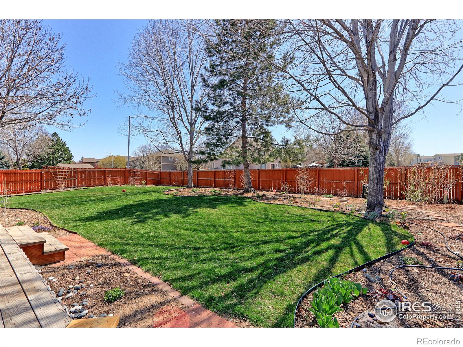 MLS Image #28 for 1423  morningside drive,longmont, Colorado