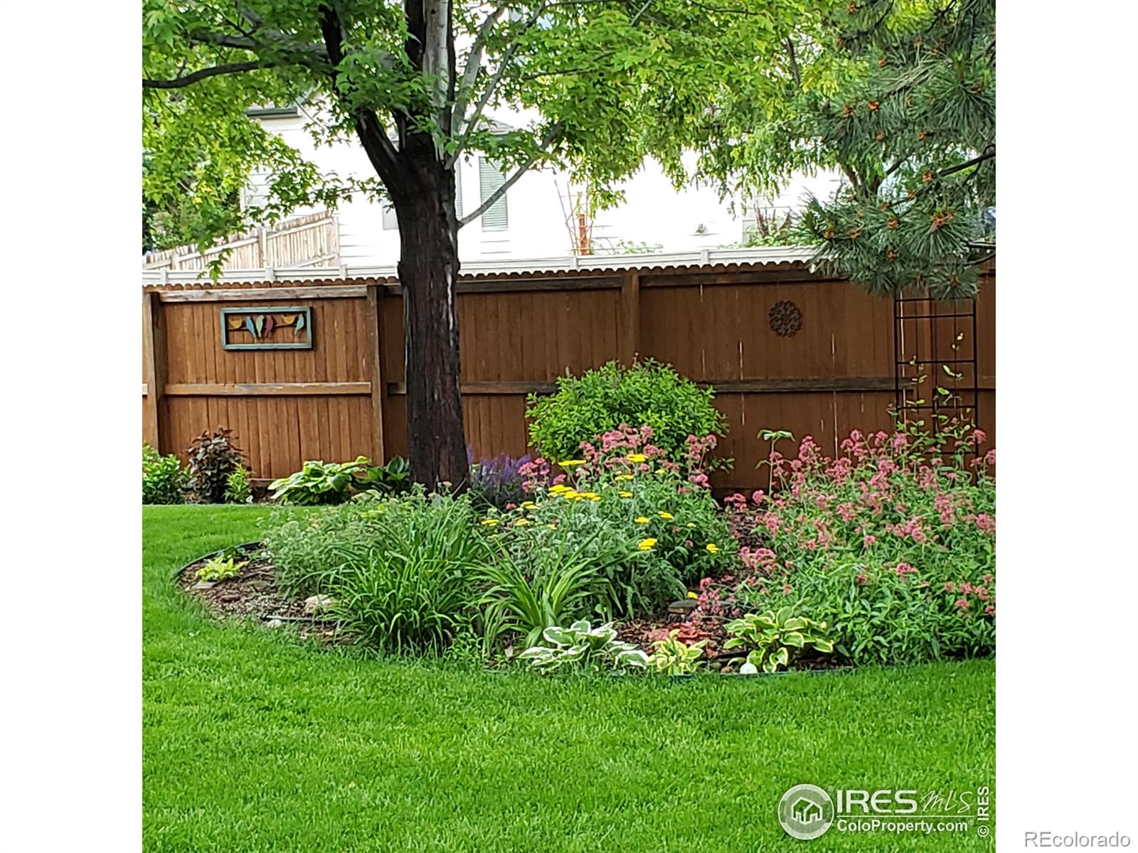 MLS Image #36 for 1423  morningside drive,longmont, Colorado