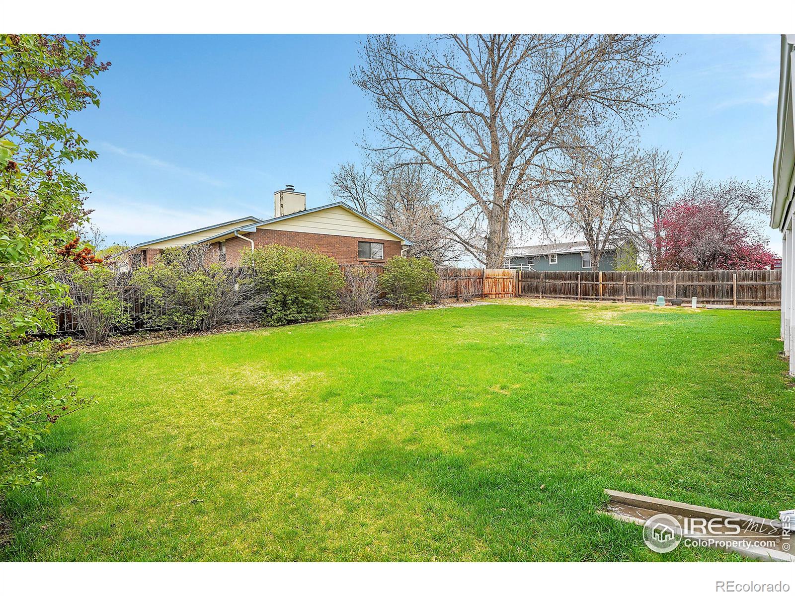 MLS Image #26 for 1029  white elm drive,loveland, Colorado