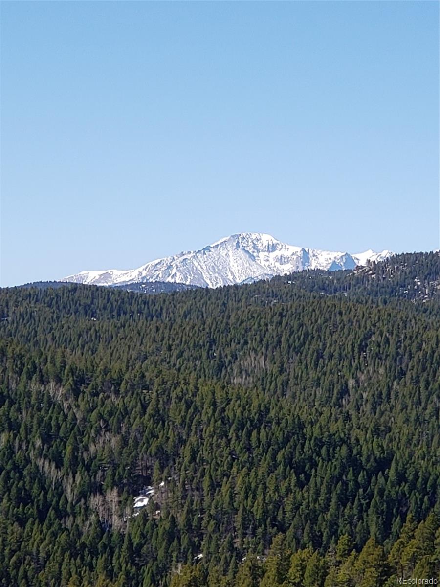 MLS Image #48 for 13939  forest lane,larkspur, Colorado