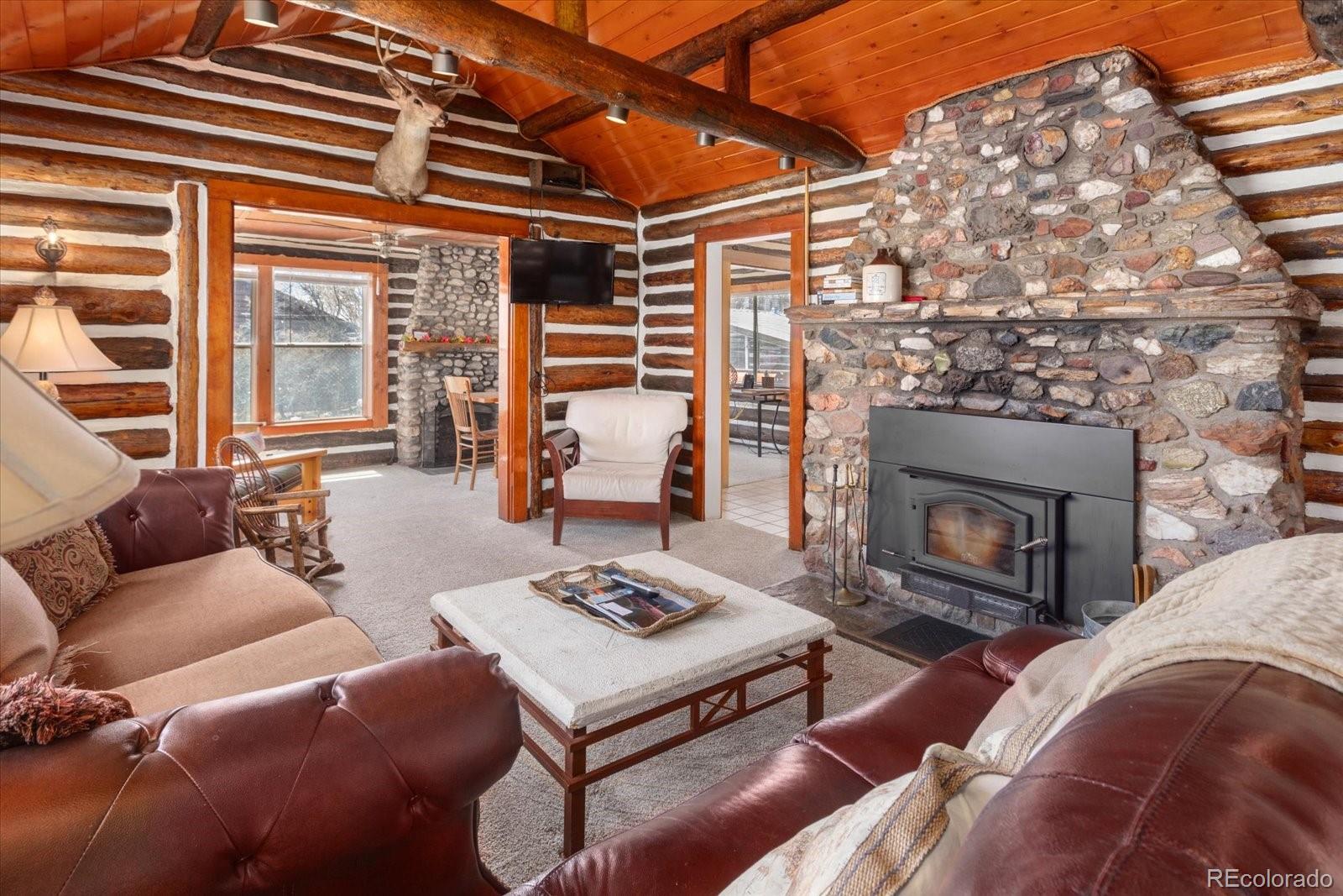 MLS Image #3 for 224 n san juan avenue,buena vista, Colorado