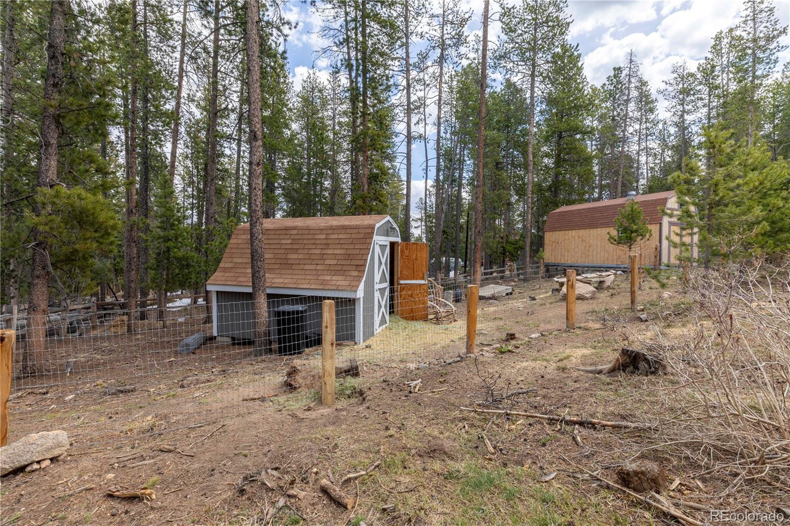 MLS Image #30 for 10988  schweigert avenue,conifer, Colorado