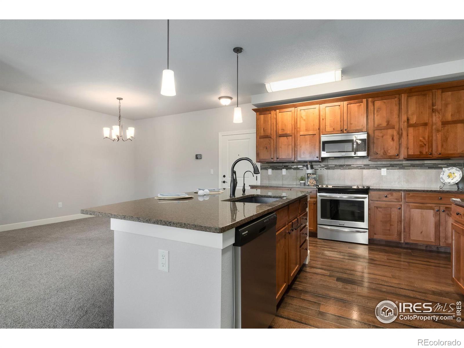 MLS Image #13 for 1379  charles drive,longmont, Colorado