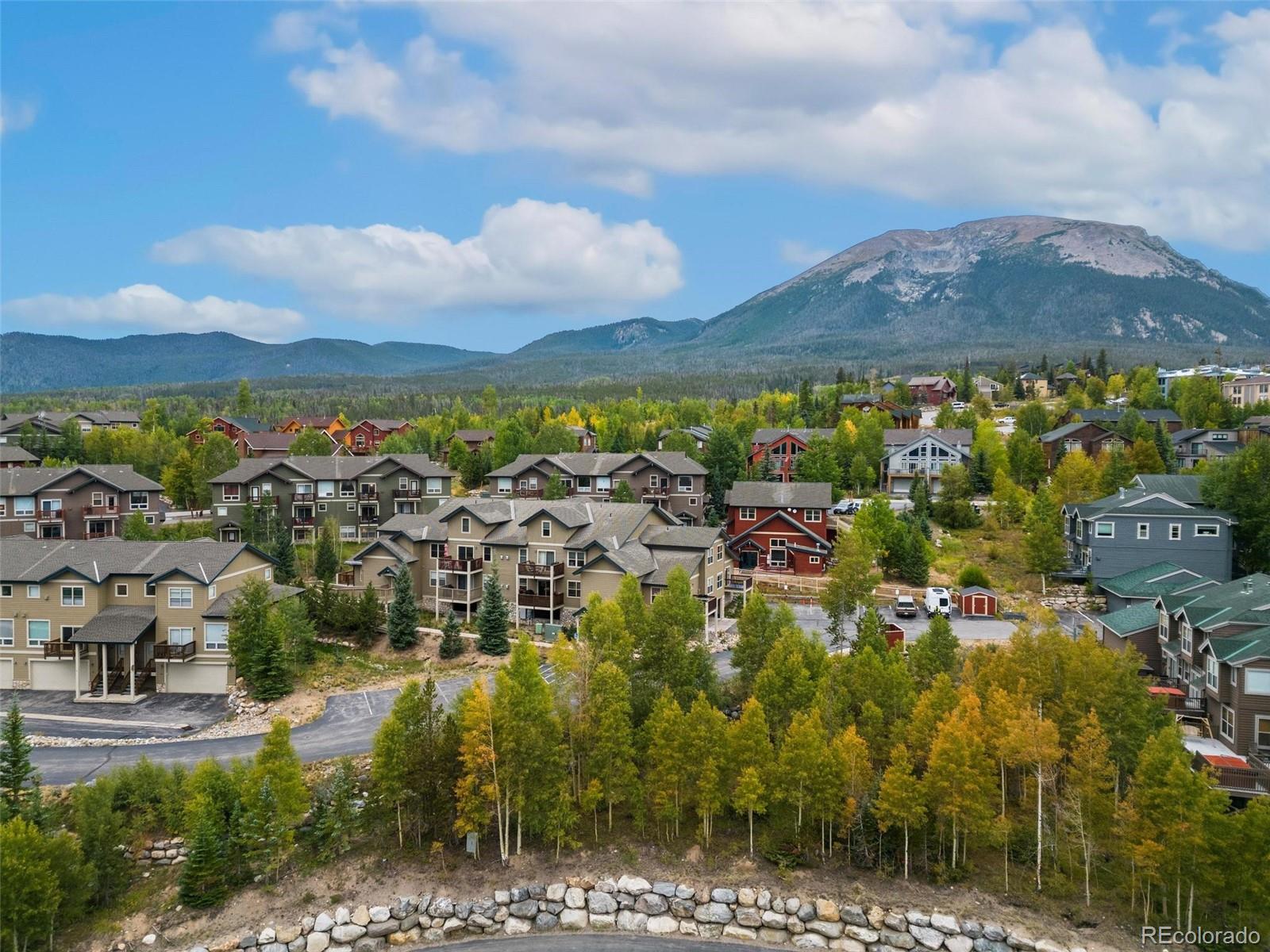 MLS Image #0 for 140  wildernest court,silverthorne, Colorado