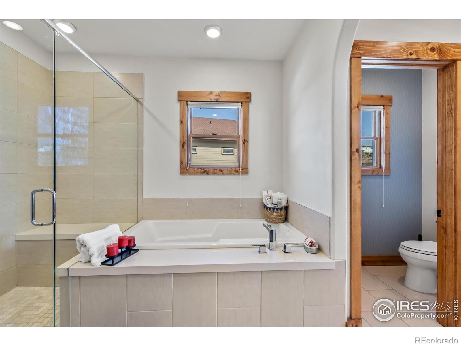 MLS Image #19 for 529  robin court,steamboat springs, Colorado