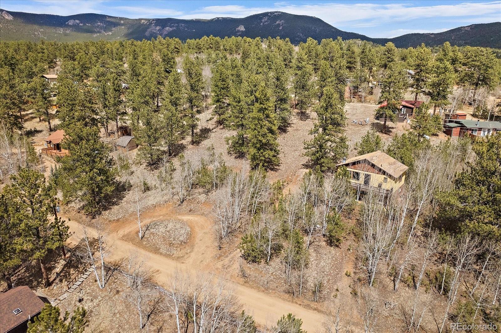 MLS Image #18 for 118  neish street,bailey, Colorado