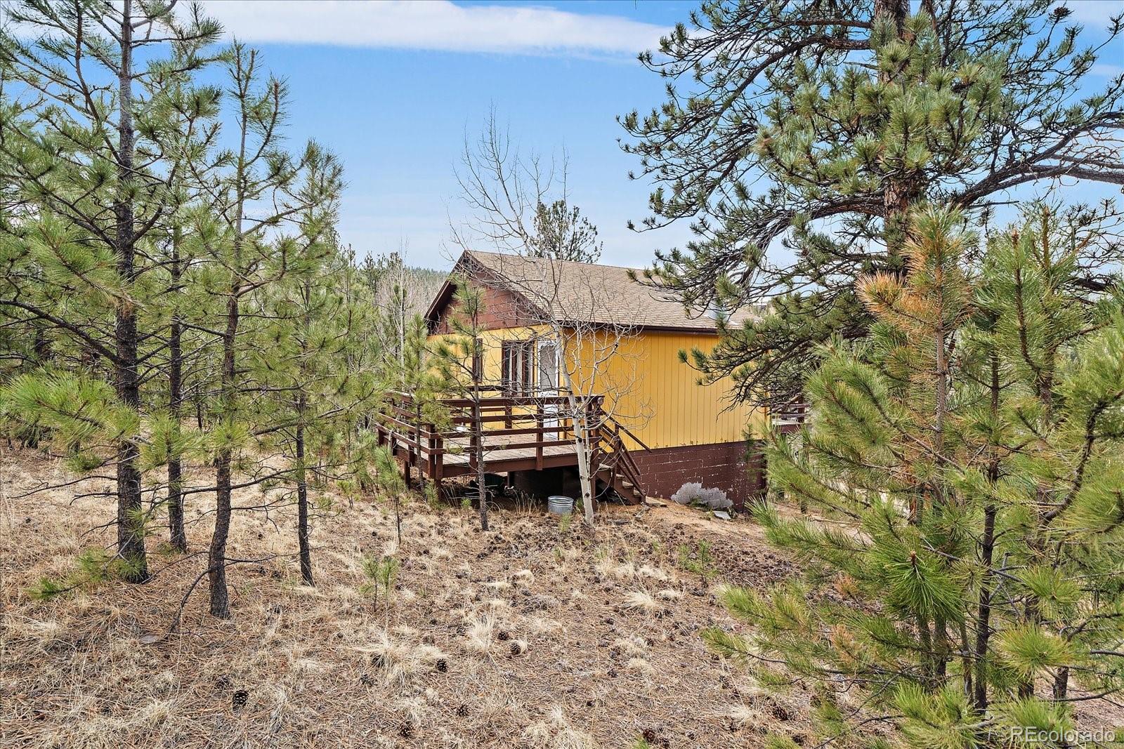 MLS Image #2 for 118  neish street,bailey, Colorado