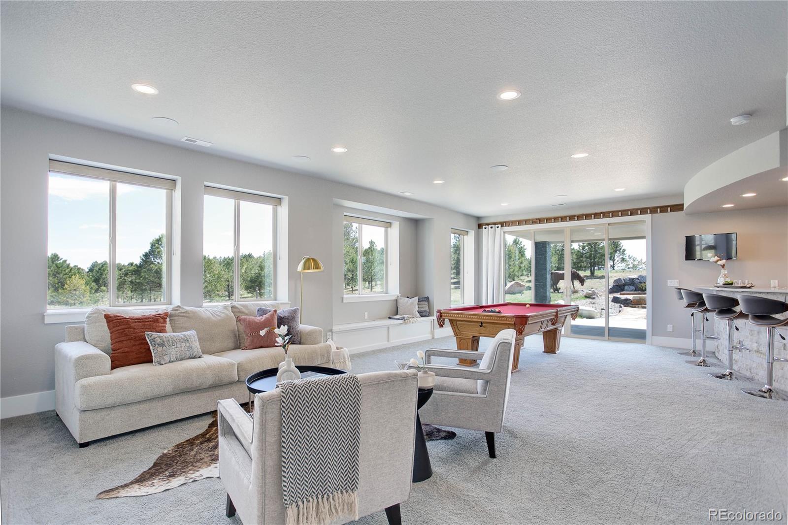 MLS Image #21 for 16192  open sky way,colorado springs, Colorado