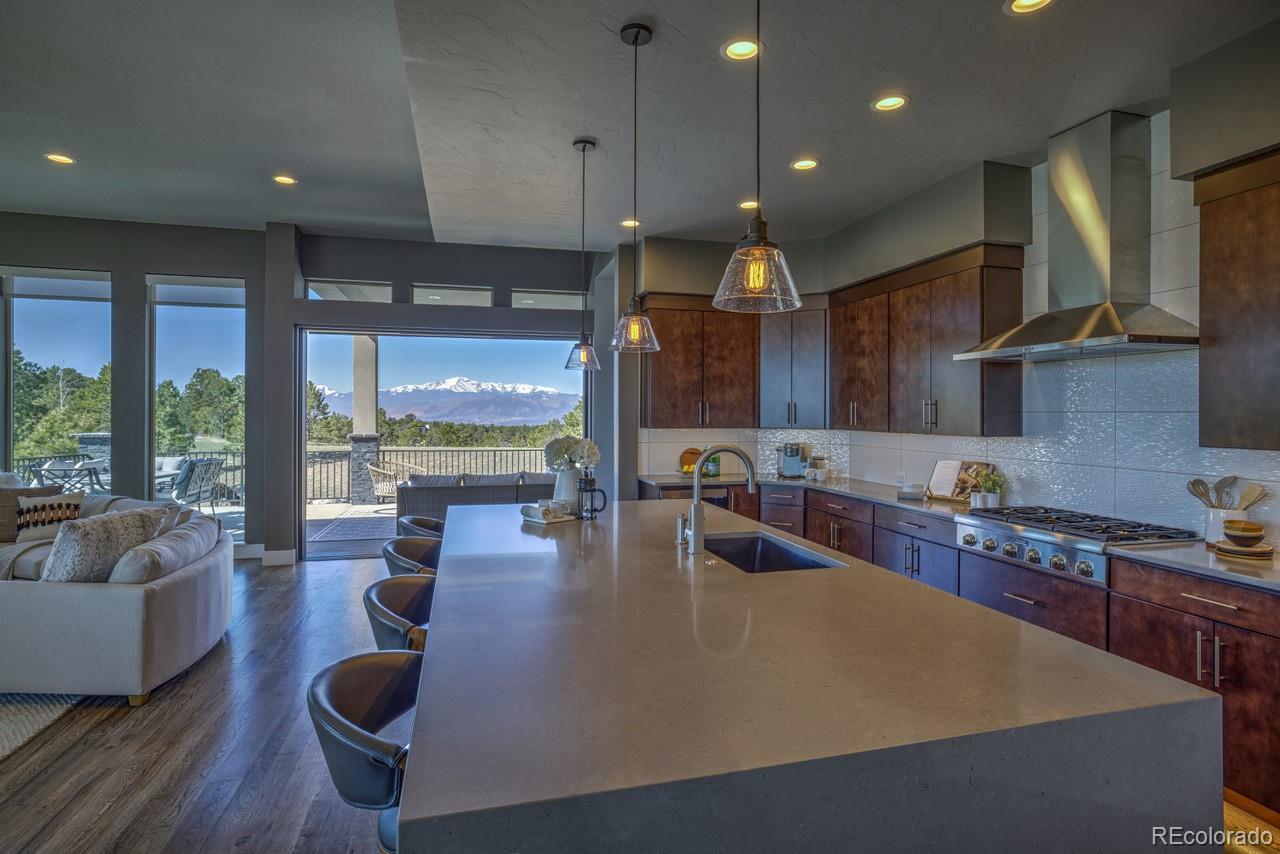 MLS Image #5 for 16192  open sky way,colorado springs, Colorado