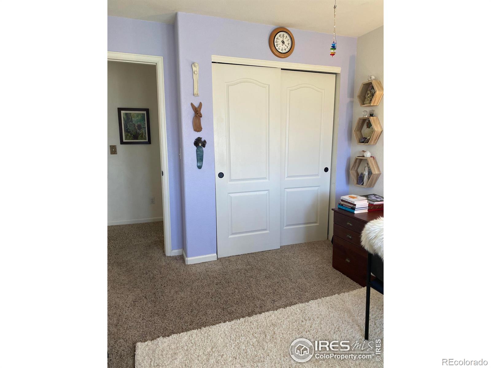 MLS Image #21 for 1839  idalia court,loveland, Colorado