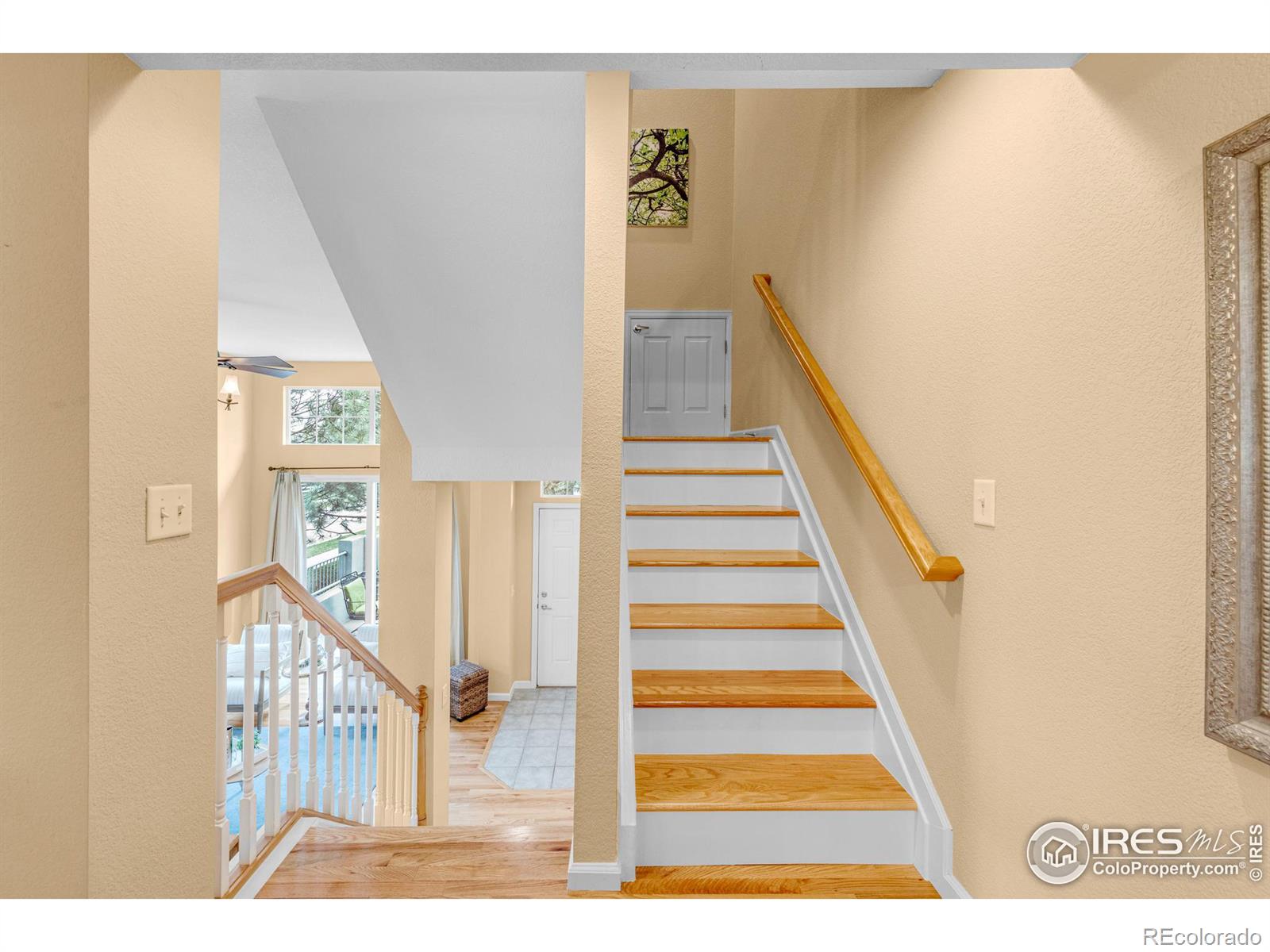 MLS Image #13 for 4206  riley drive,longmont, Colorado