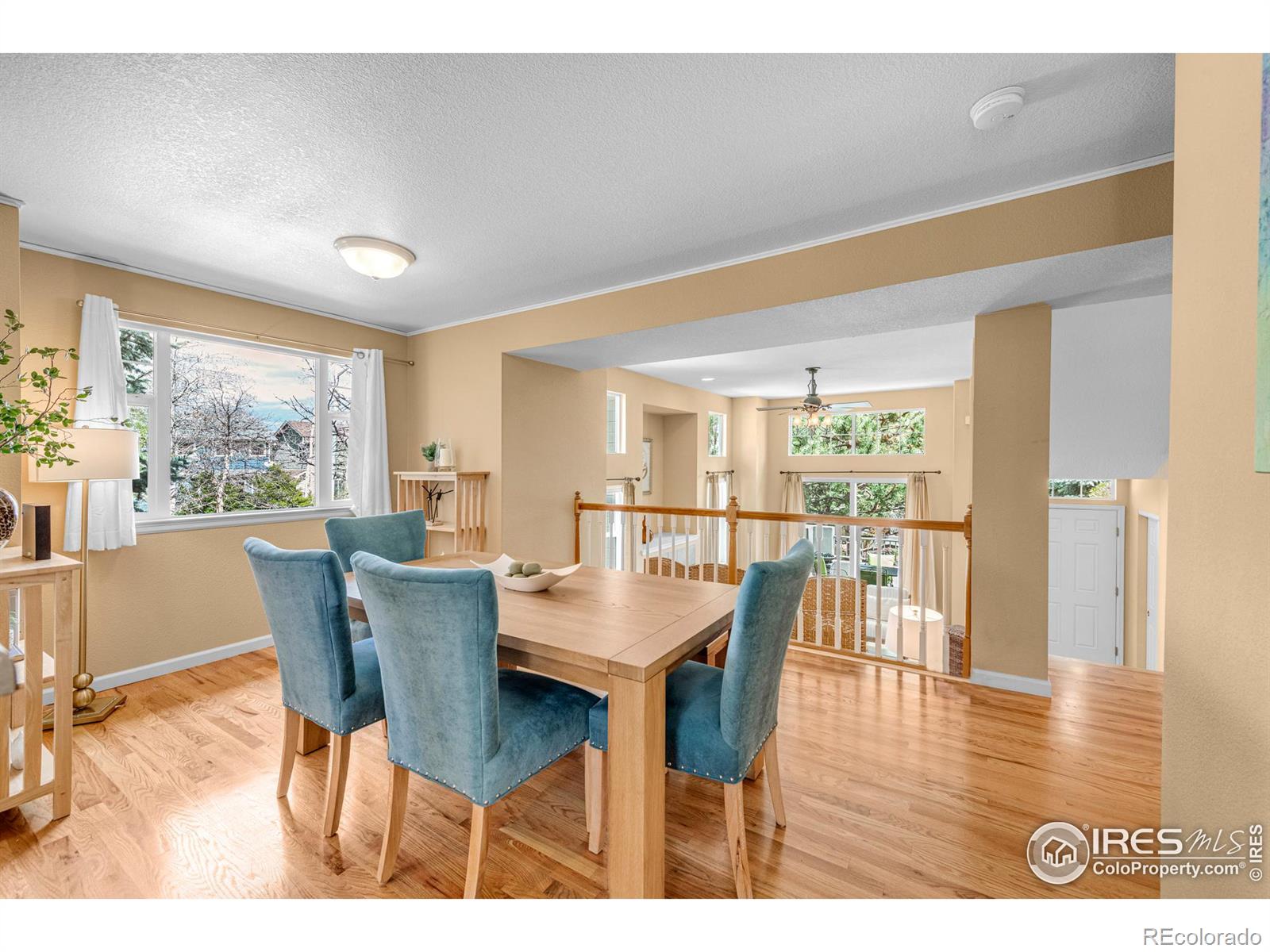 MLS Image #16 for 4206  riley drive,longmont, Colorado