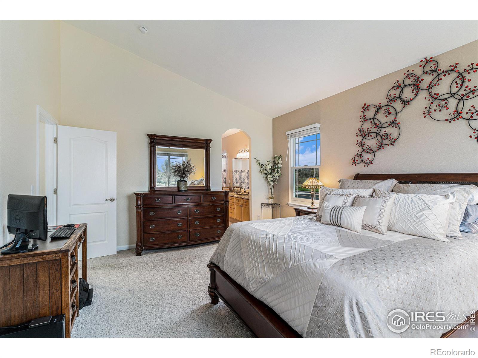 MLS Image #9 for 1802  idalia court,loveland, Colorado