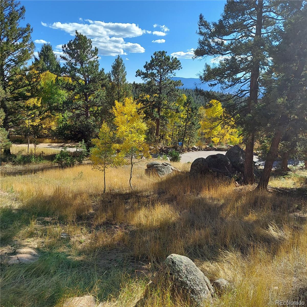 MLS Image #17 for 30898  witteman road,conifer, Colorado