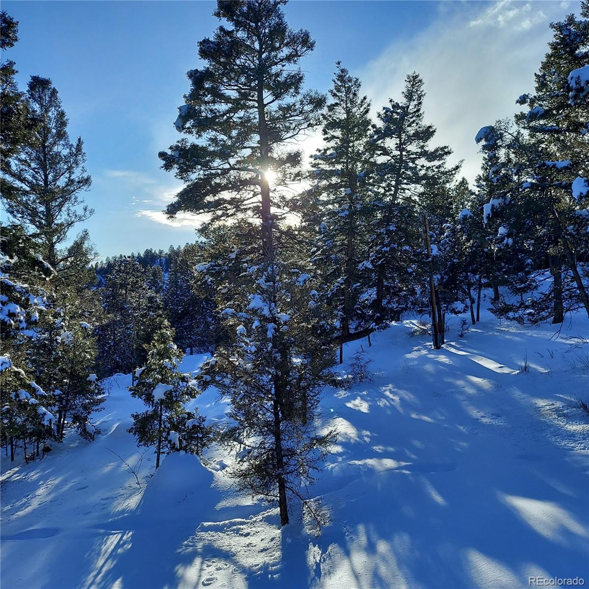 MLS Image #29 for 30898  witteman road,conifer, Colorado