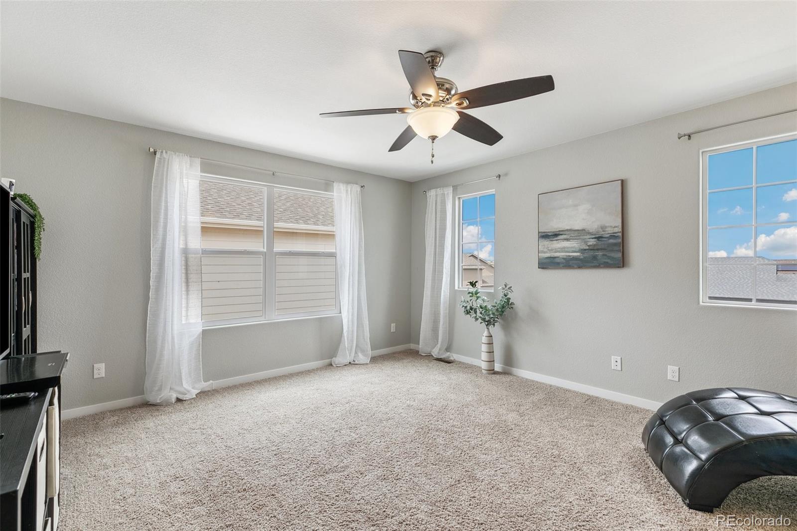 MLS Image #13 for 7070  dutch loop,colorado springs, Colorado