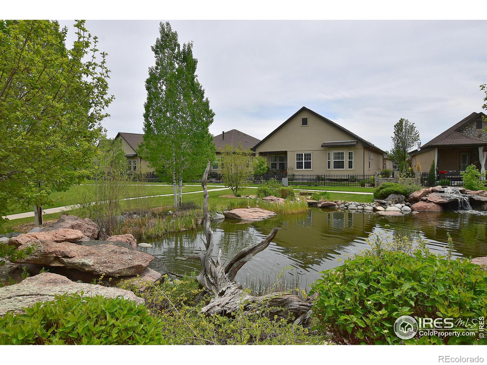 MLS Image #12 for 2074  vineyard drive,windsor, Colorado