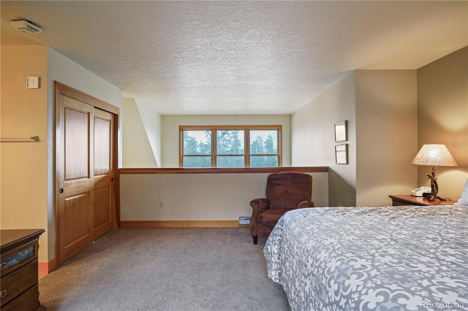 MLS Image #15 for 240  tennis club road,dillon, Colorado