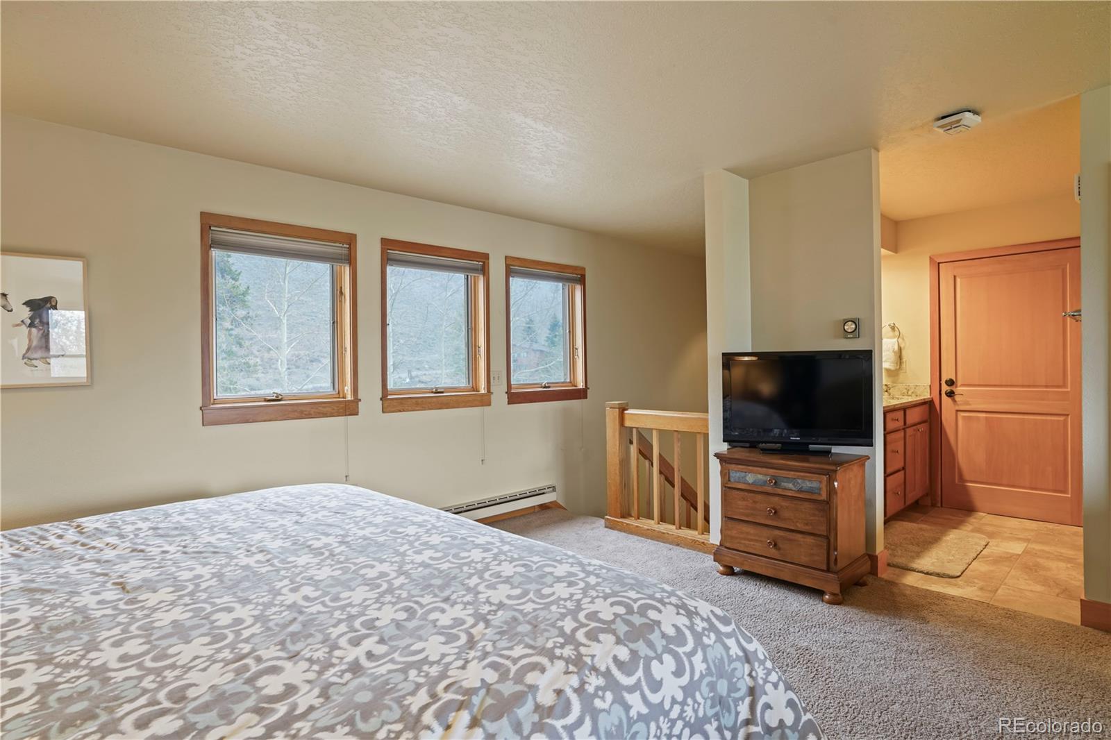 MLS Image #17 for 240  tennis club road,dillon, Colorado