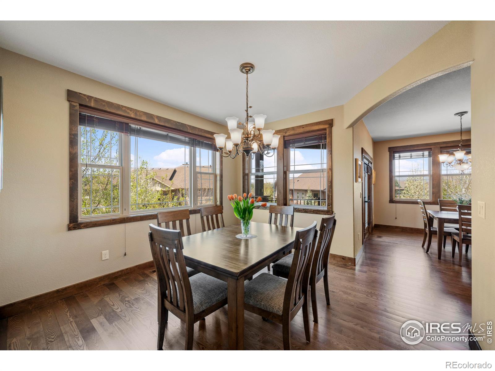 MLS Image #11 for 5649  red thunder court,loveland, Colorado