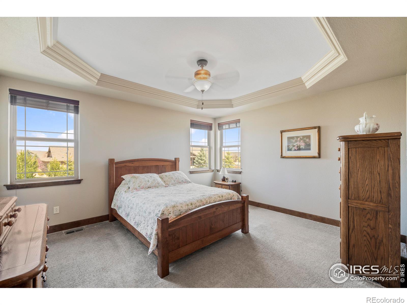 MLS Image #16 for 5649  red thunder court,loveland, Colorado