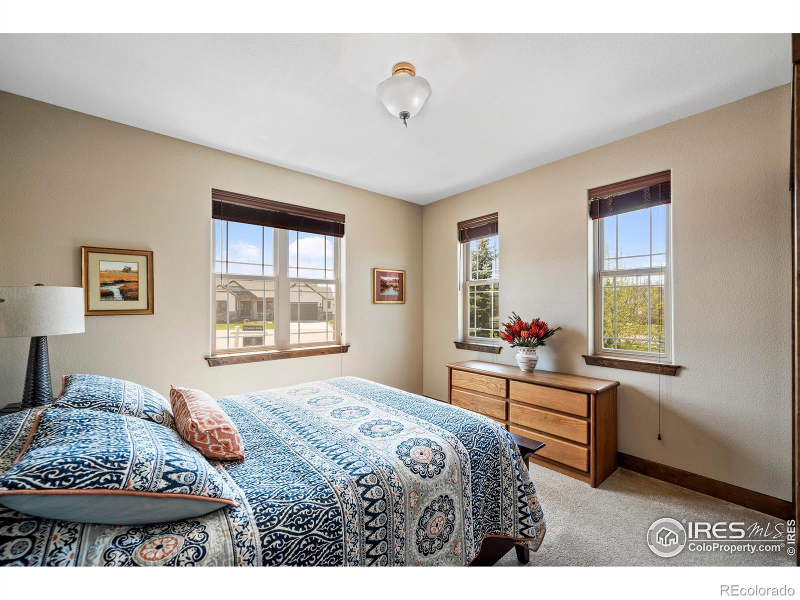 MLS Image #23 for 5649  red thunder court,loveland, Colorado