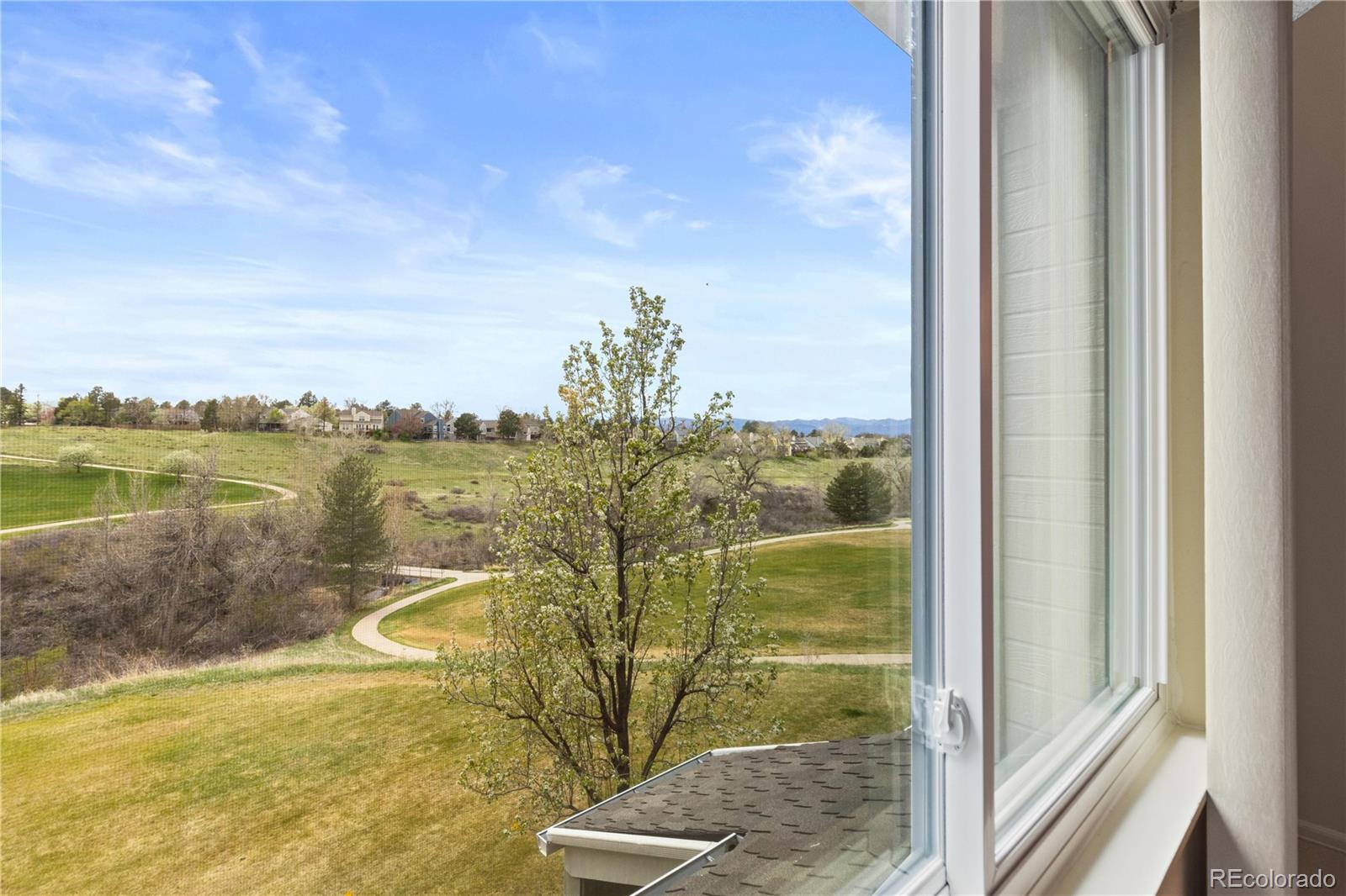 MLS Image #22 for 8855  green meadows drive,highlands ranch, Colorado