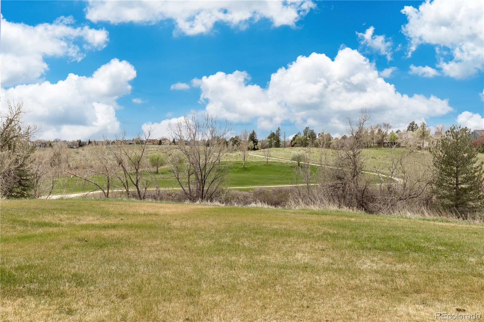 MLS Image #39 for 8855  green meadows drive,highlands ranch, Colorado