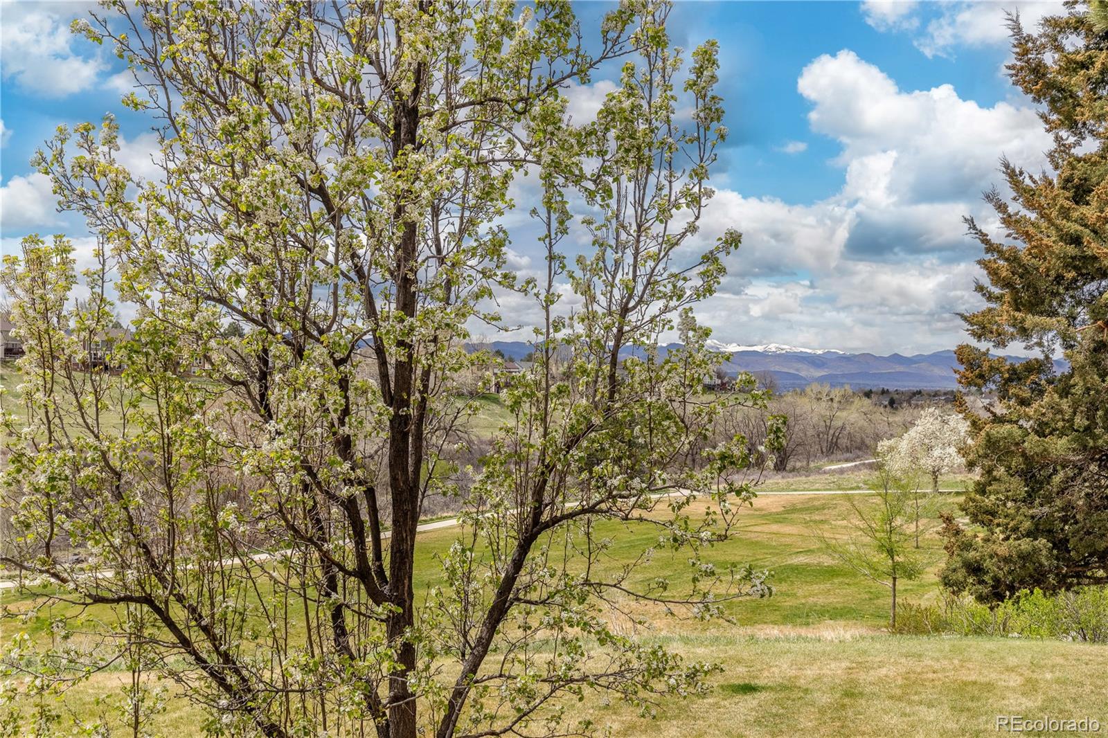 MLS Image #40 for 8855  green meadows drive,highlands ranch, Colorado