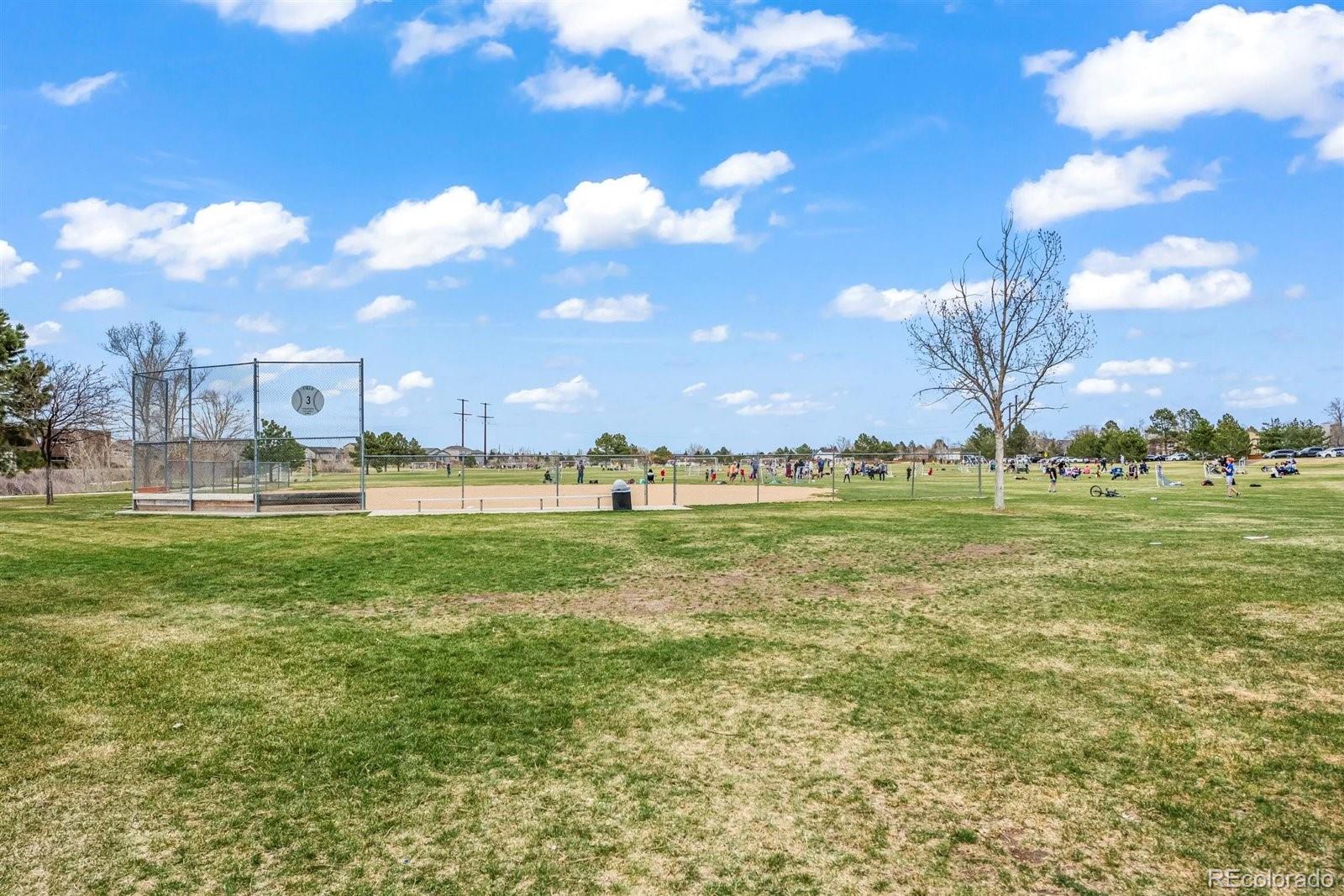 MLS Image #41 for 255  ponderosa street,castle rock, Colorado