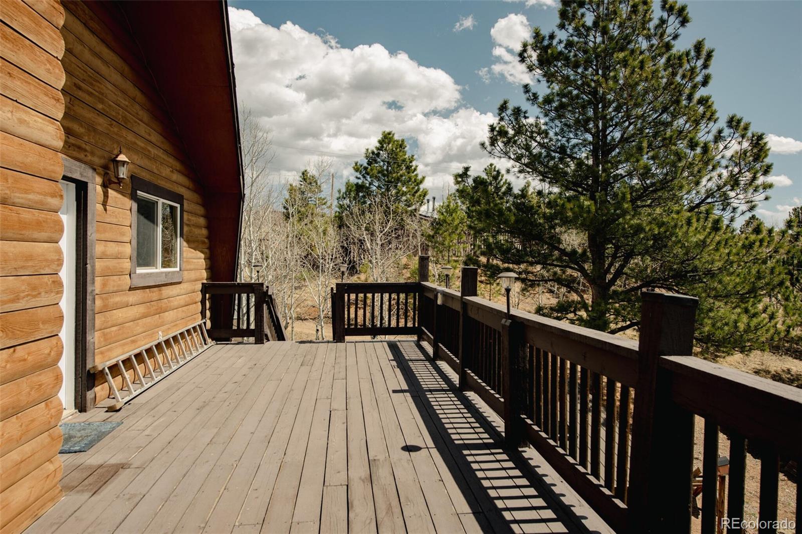 MLS Image #39 for 178  gold flake terrace,bailey, Colorado