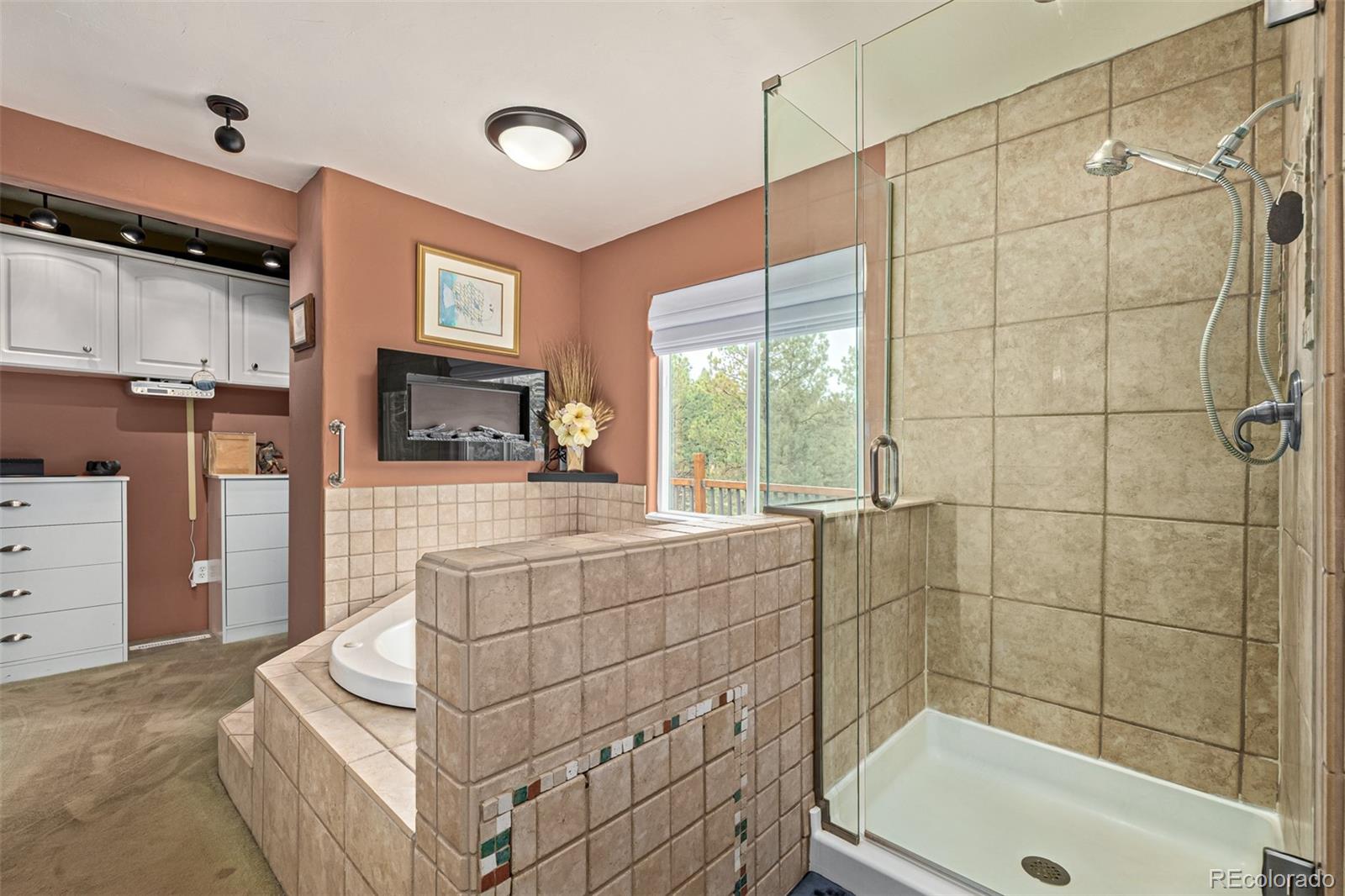 MLS Image #21 for 63  pine lane,woodland park, Colorado