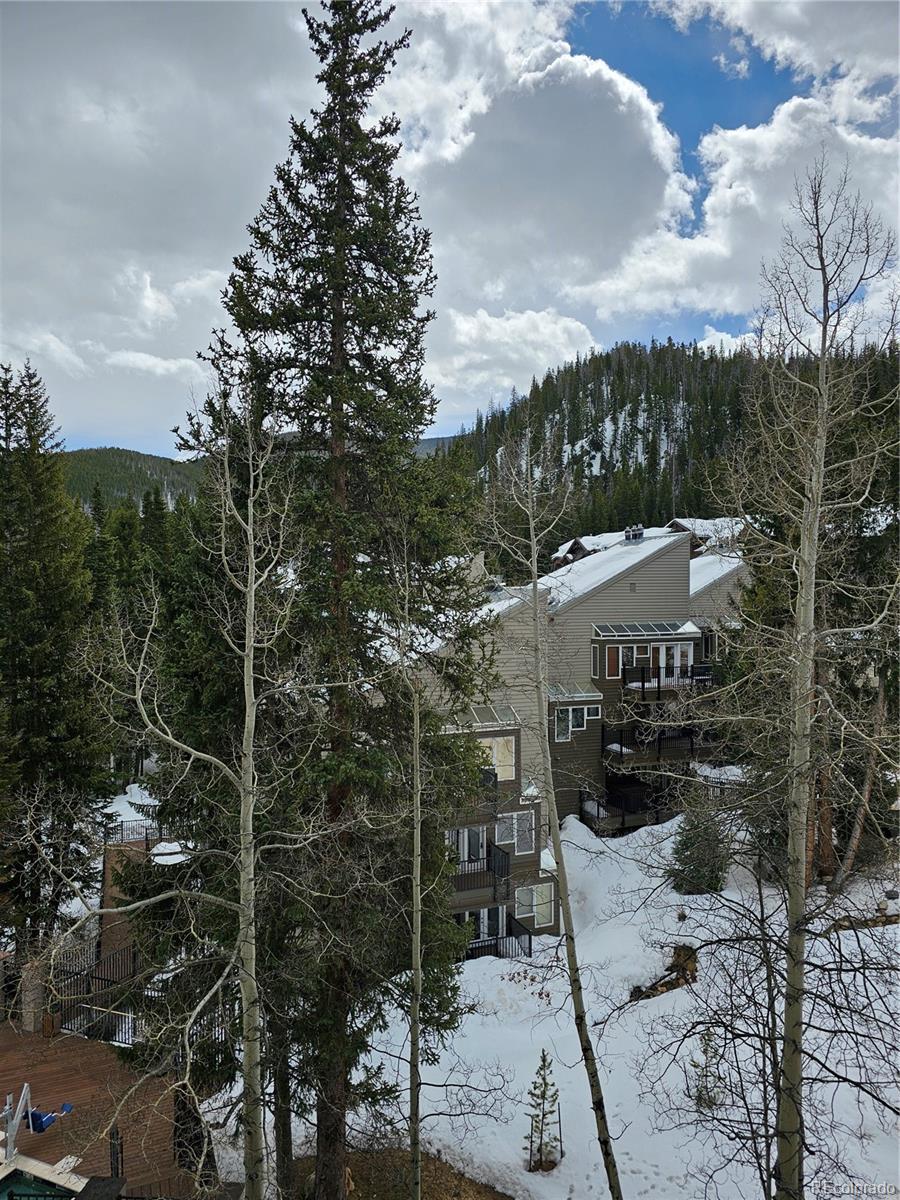 Report Image for 313  Iron Horse Way,Winter Park, Colorado